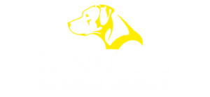 Zanardi's Rhodesian Ridgeback